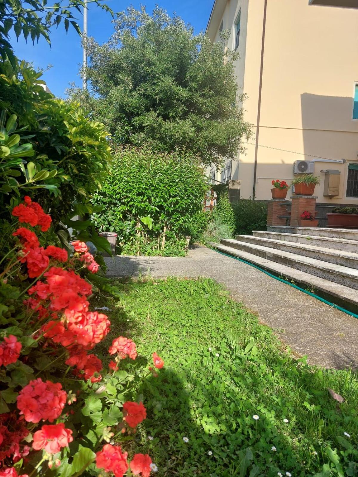 Villa Mehari Pise Extérieur photo