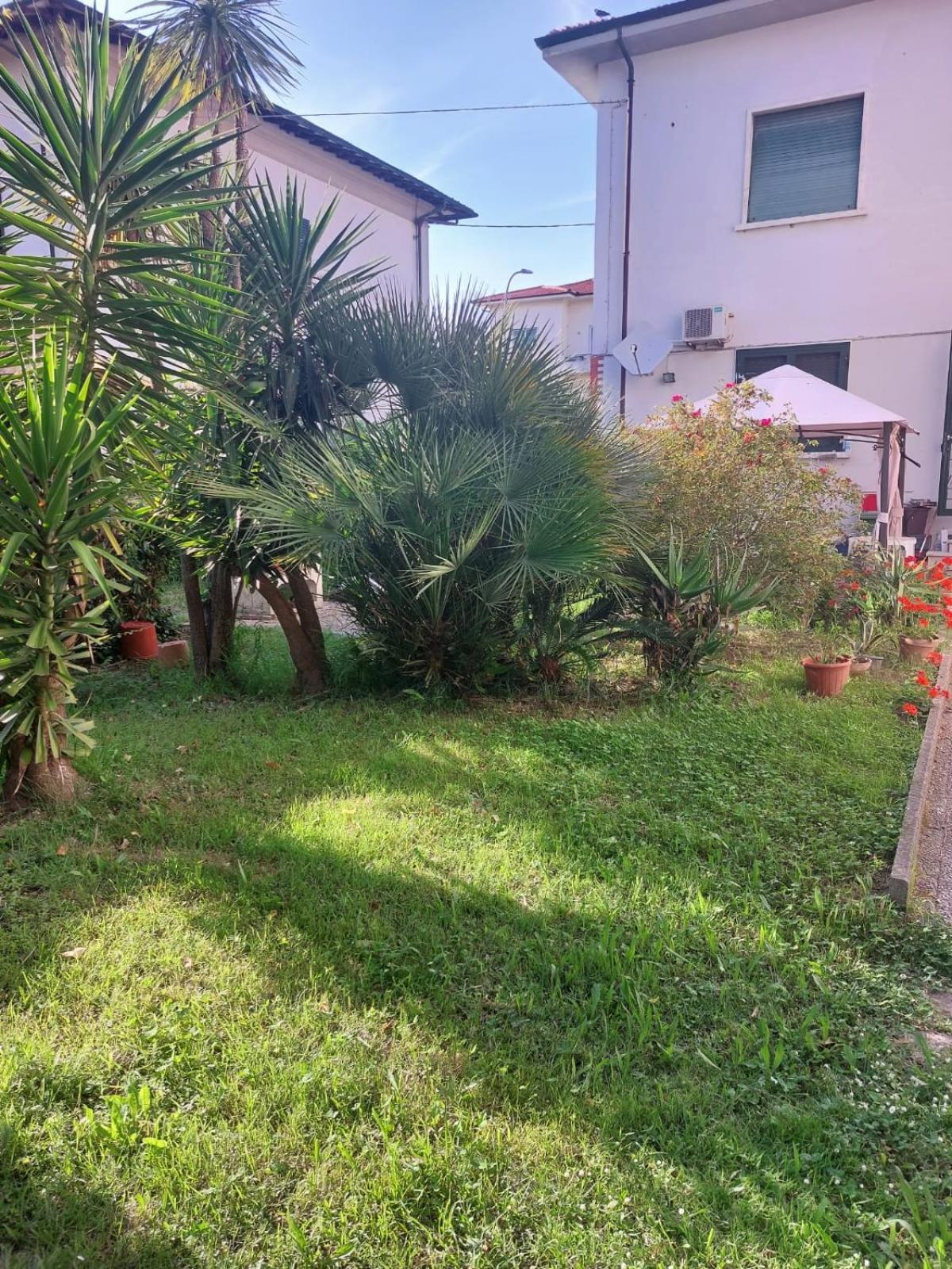 Villa Mehari Pise Extérieur photo