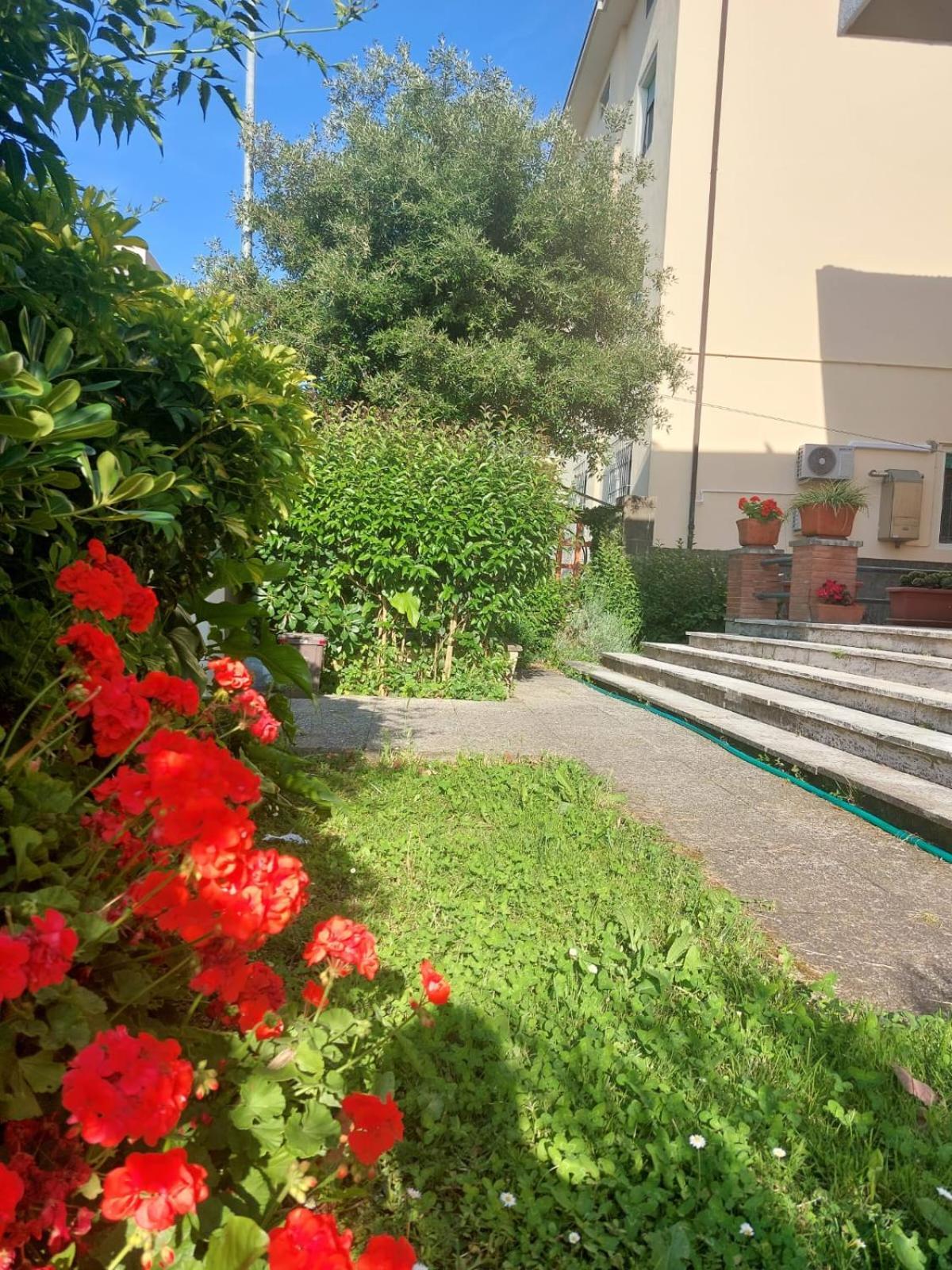 Villa Mehari Pise Extérieur photo